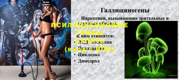 хмурый Алексеевка