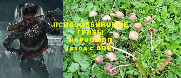 хмурый Алексеевка