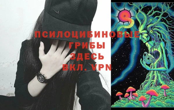 хмурый Алексеевка